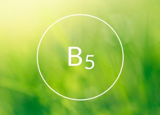 Vitamin B5 (Pantothenic Acid)