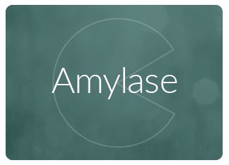 Amylase Enzyme