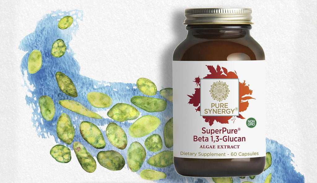 Beta 1,3 Glucan: Nature's Immune Mentor