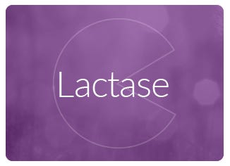 Lactase Enzyme