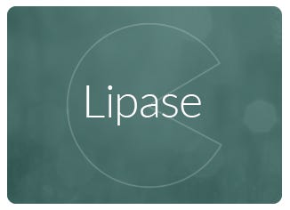 Lipase Enzyme