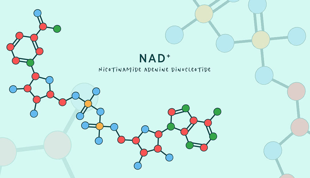 What is NAD?