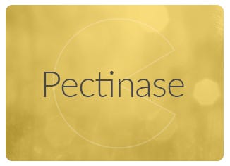 Pectinase Enzyme