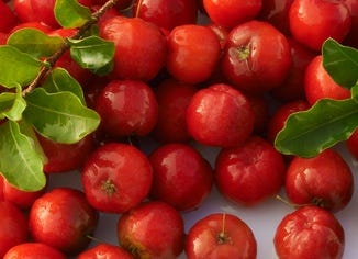 Acerola Cherry Extract