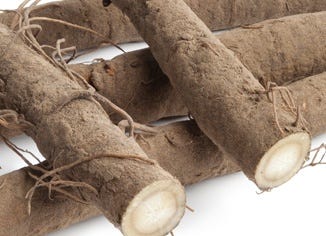 Burdock Root