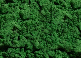 Spirulina